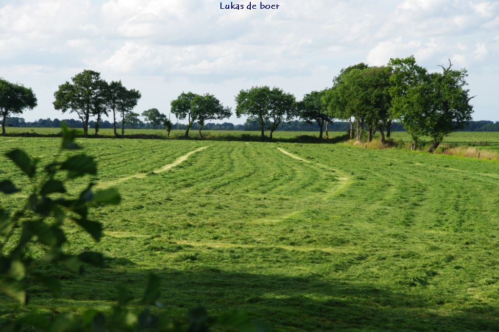 tour (12).jpg - Gemaaid gras op Westeinde